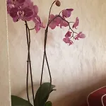 Casa Nonna Dora