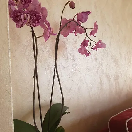 Casa Nonna Dora